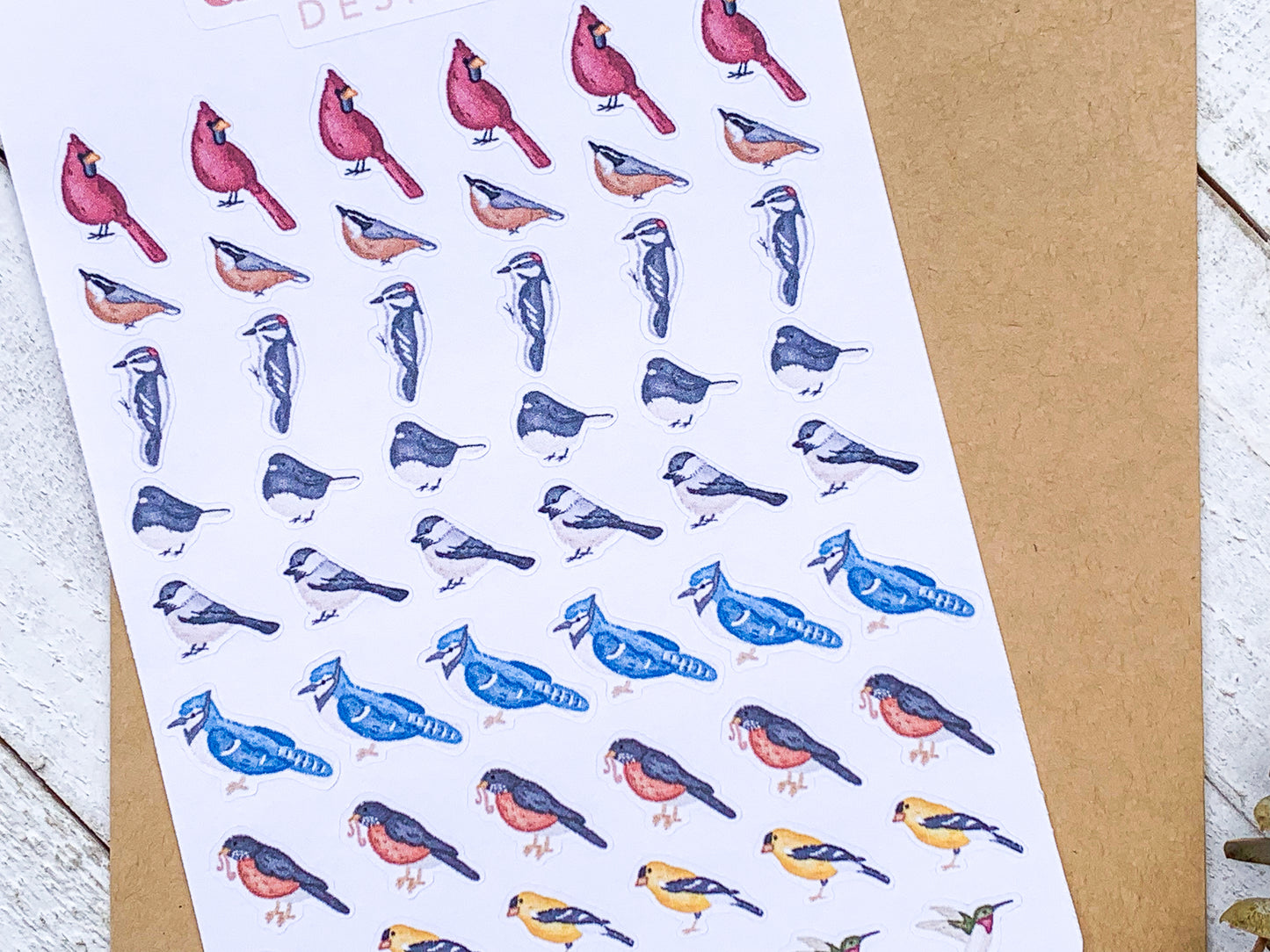 Backyard Birds Sticker Sheet